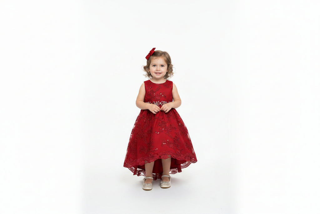 Colección de Ganadores - Vestido de Tul y Encaje Bordado para Niñas - #808