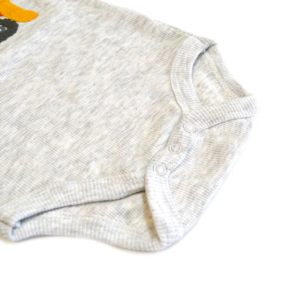 Baby 3pcs Chenille Applique Bodysuit Hat Pants Set