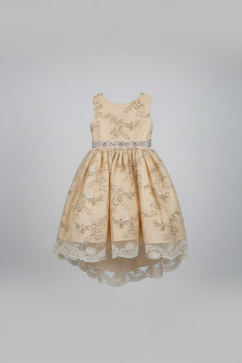 Colección ganadora Vestido de fiesta para niña Estilo 826
