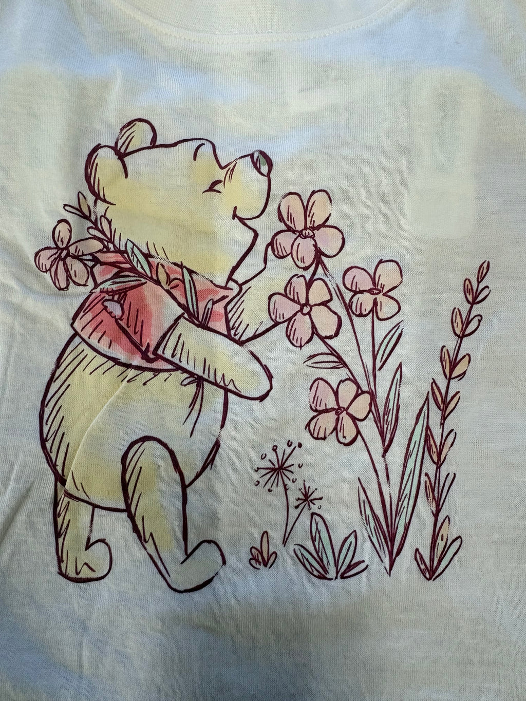 Girl's Winnie the Pooh 2 Piece Shirt and Legging Set - WIR074A