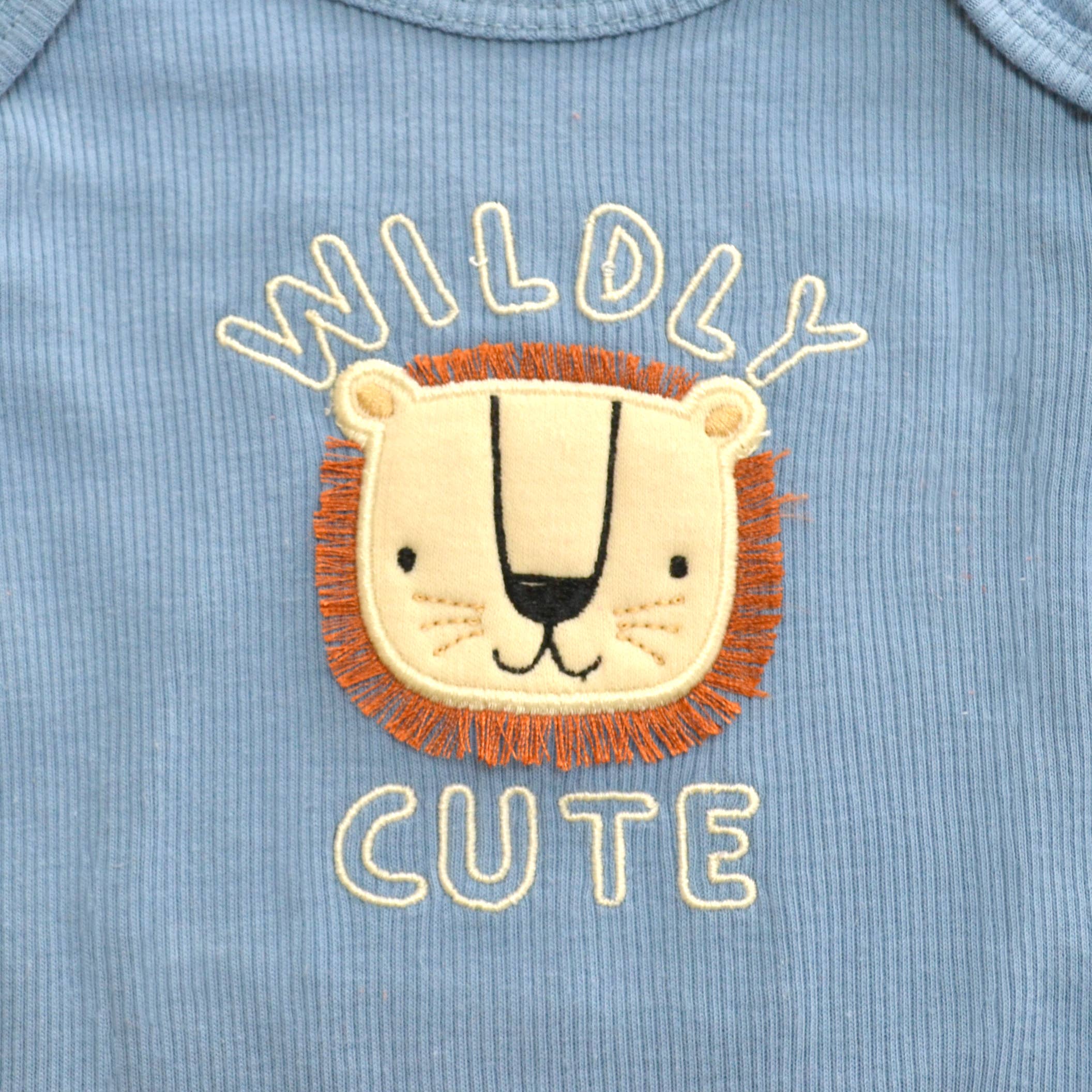 Baby 3pcs Chenille Applique Bodysuit Hat Pants Set