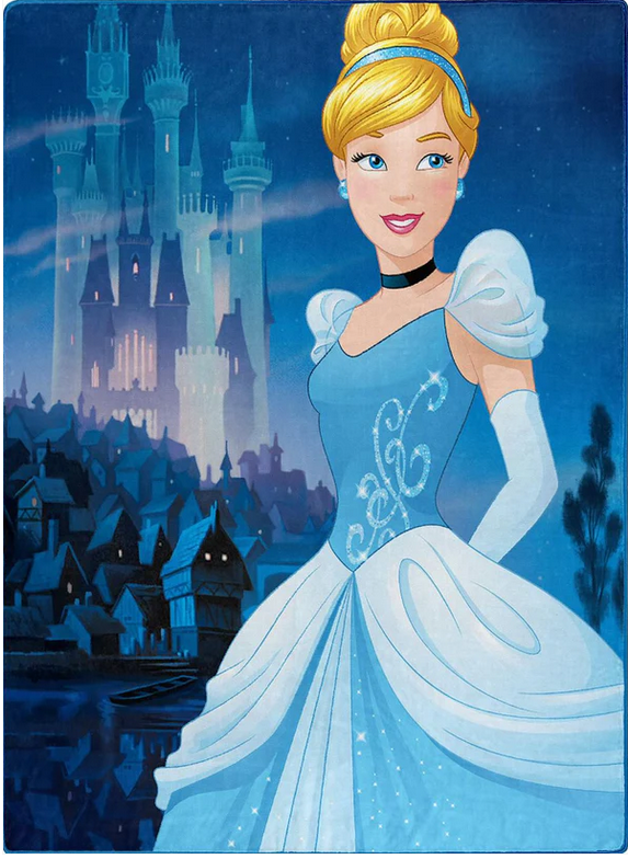 Twin Raschel Blanket 60"X80" Princess Cinderella